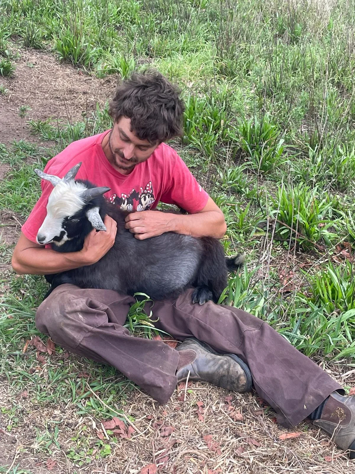 Rachel's Farm Update (4 of 5)
