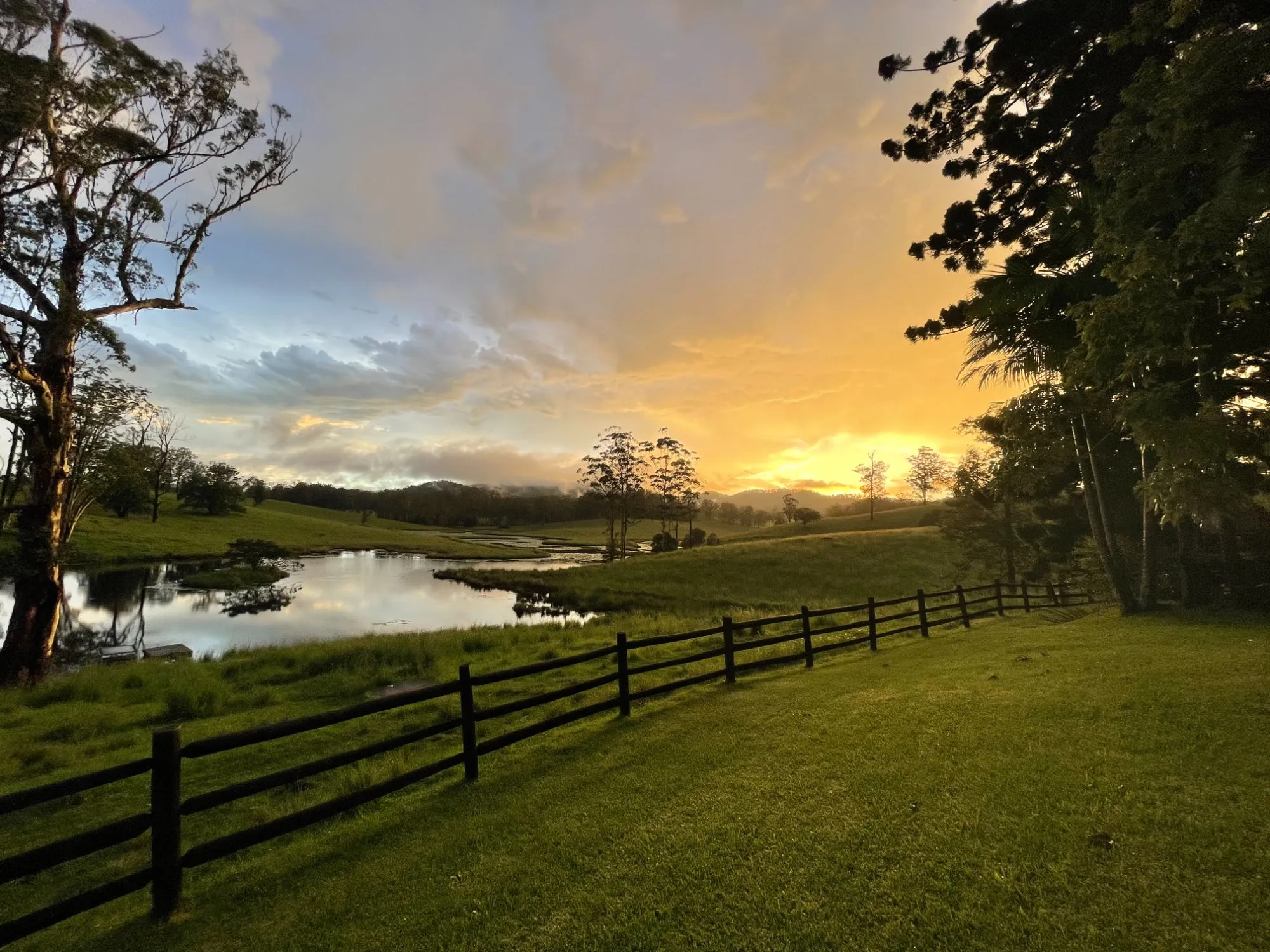 Rachel's Farm gallery 10