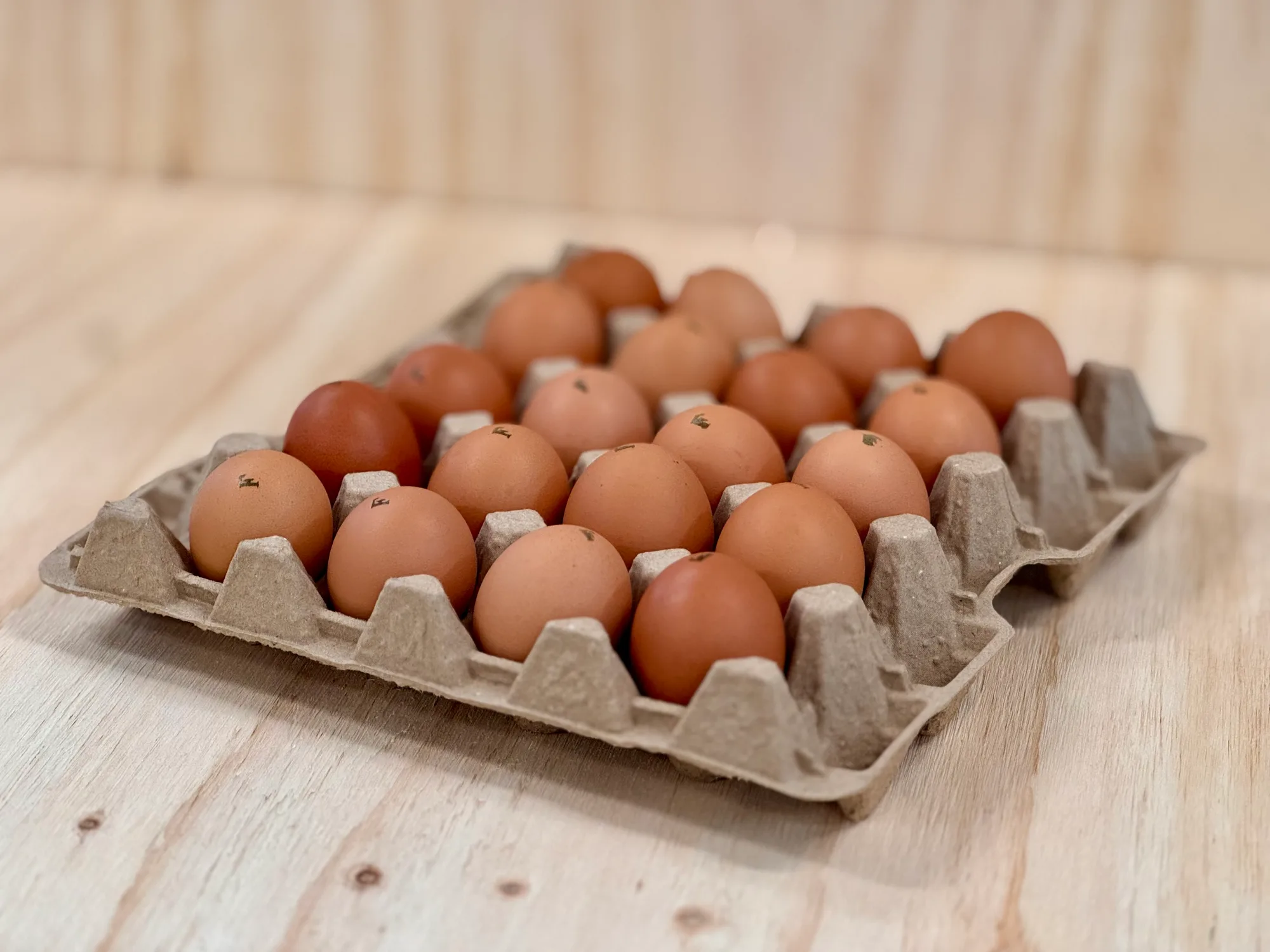 Egg Tray - Pasture Raised Super Jumbo, 20 Eggs