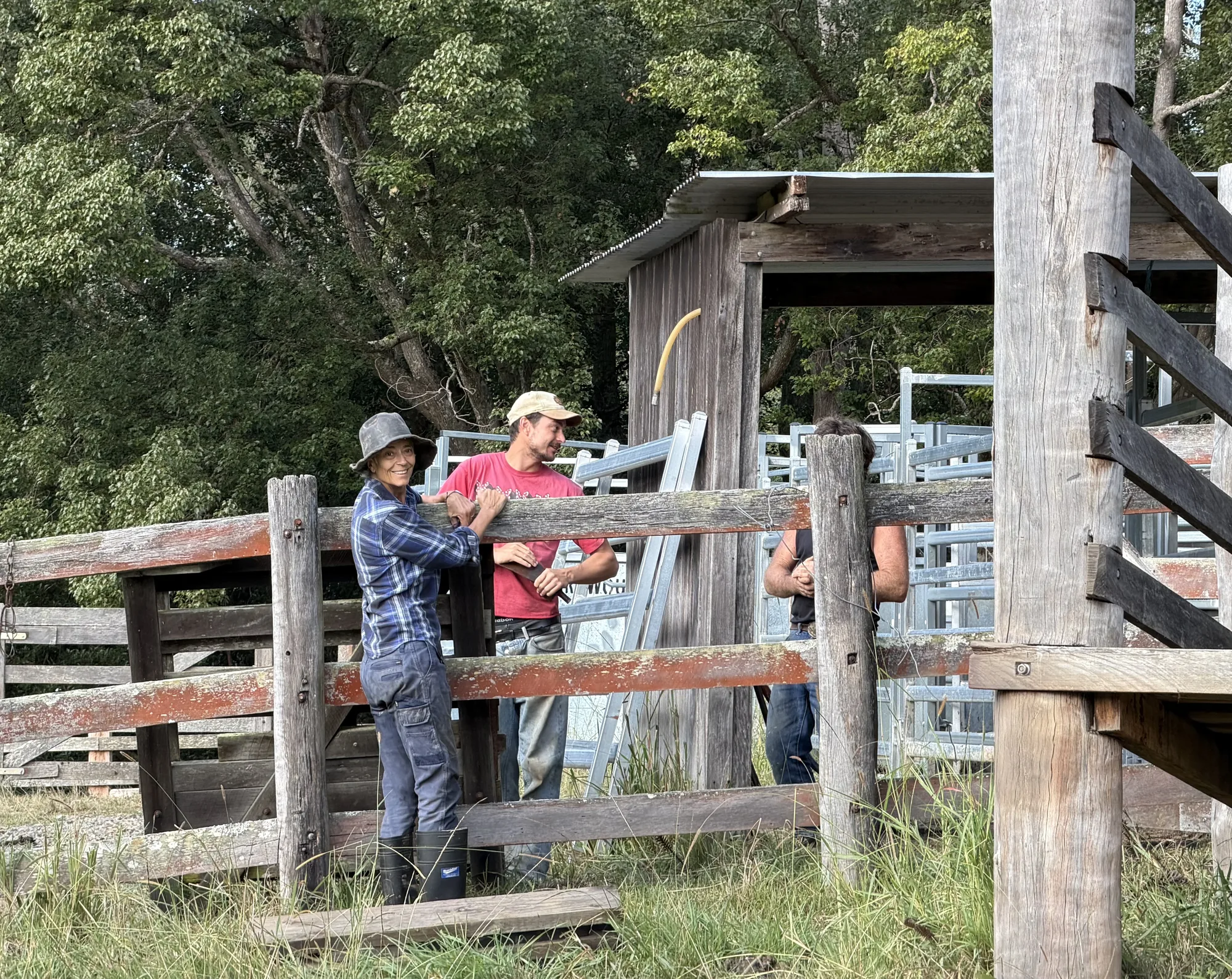 Rachel's Farm Update (1 of 5)
