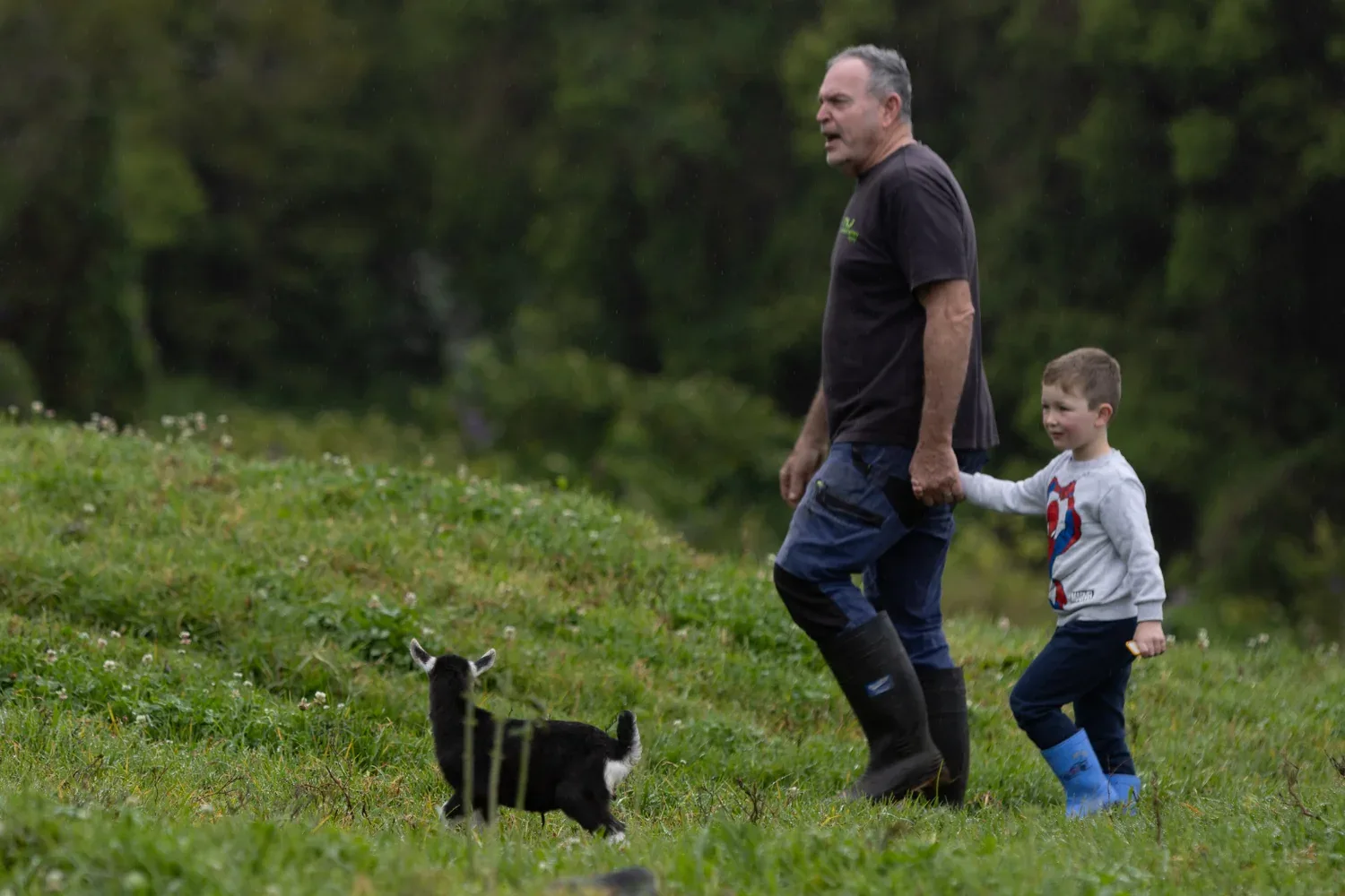 Nimbin Valley Dairy