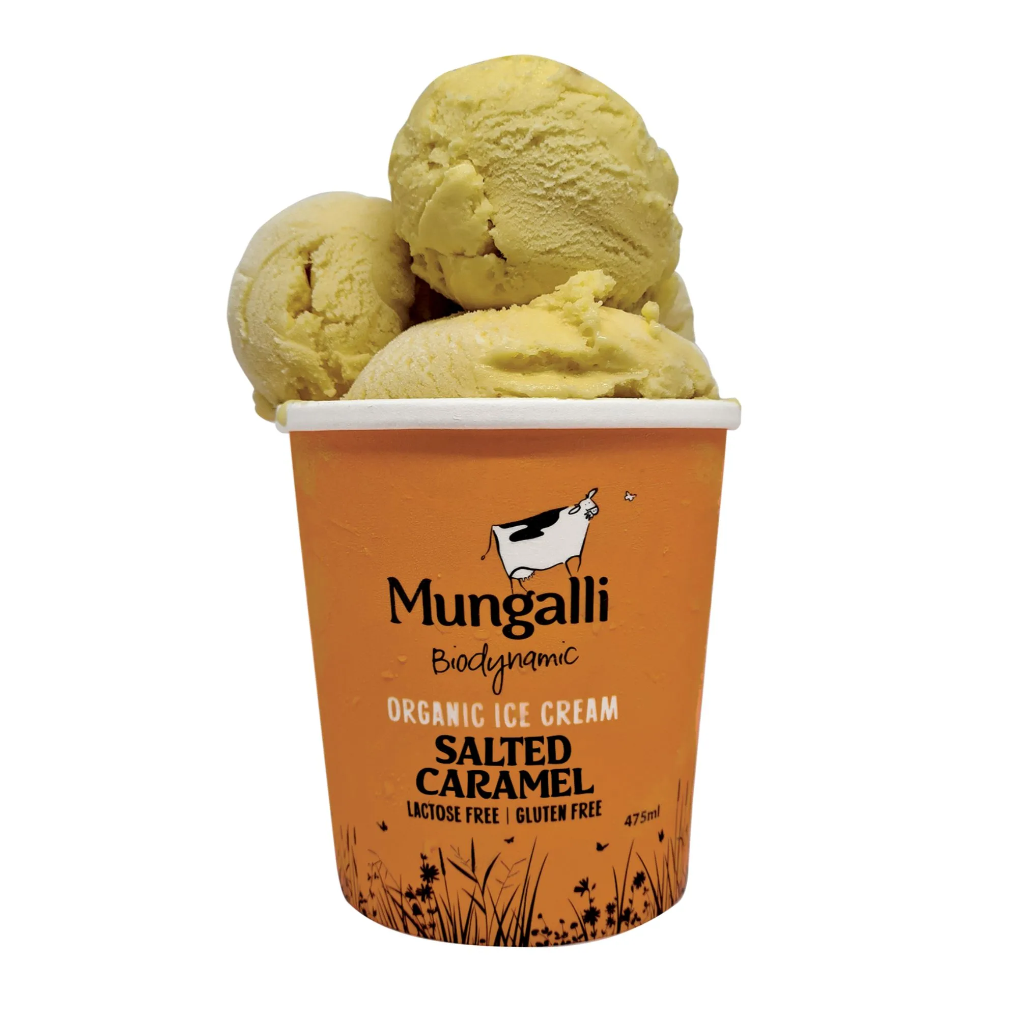 Organic Salted Caramel Ice Cream