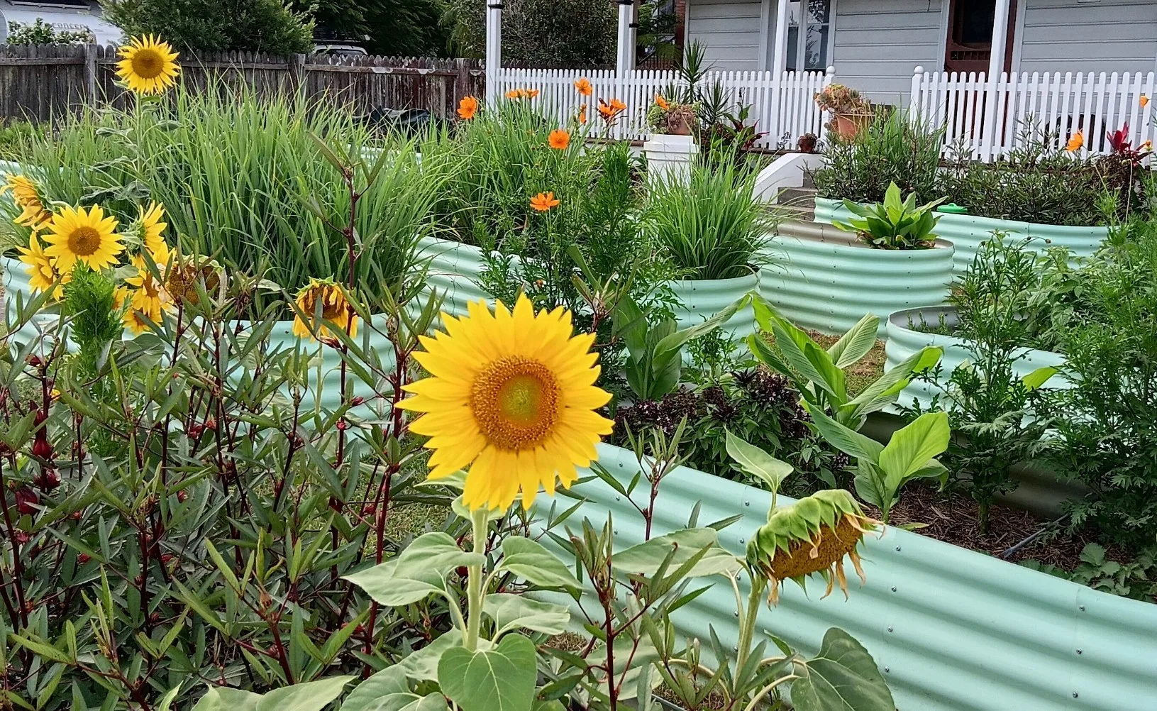 Kooinda Farm Petals & Herbs gallery 1