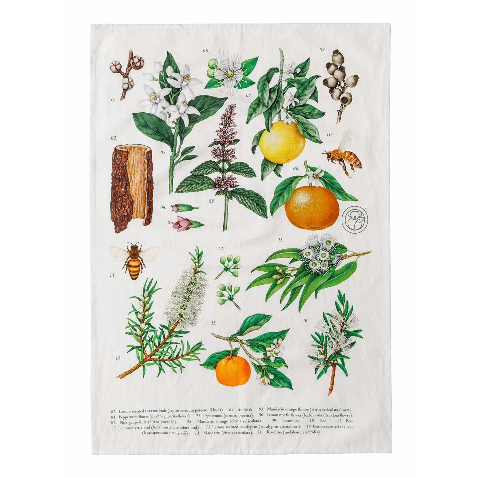 Terra Botanica Tea Towel — image 1 of 2