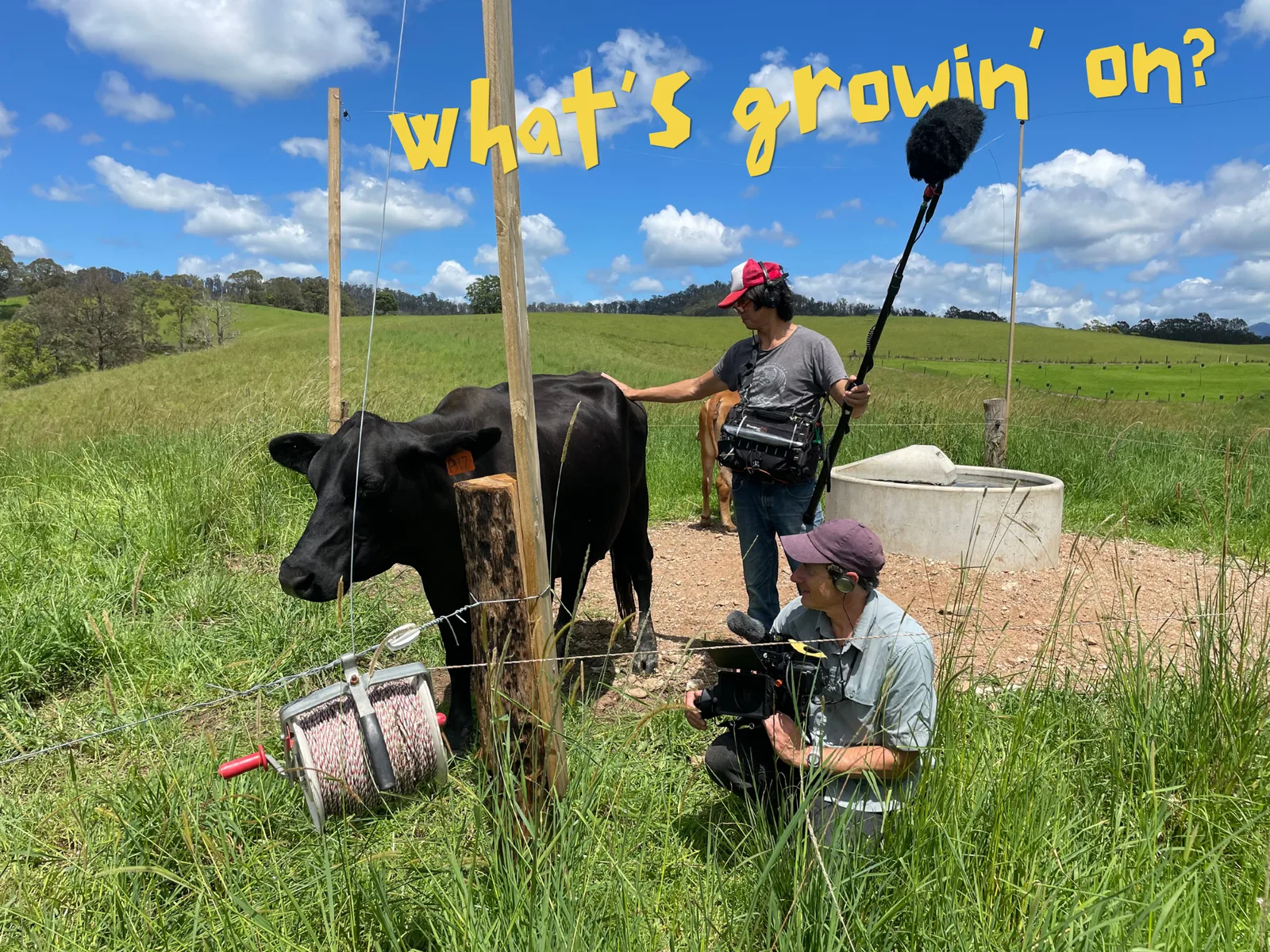 Farm feed: what's growin' on?