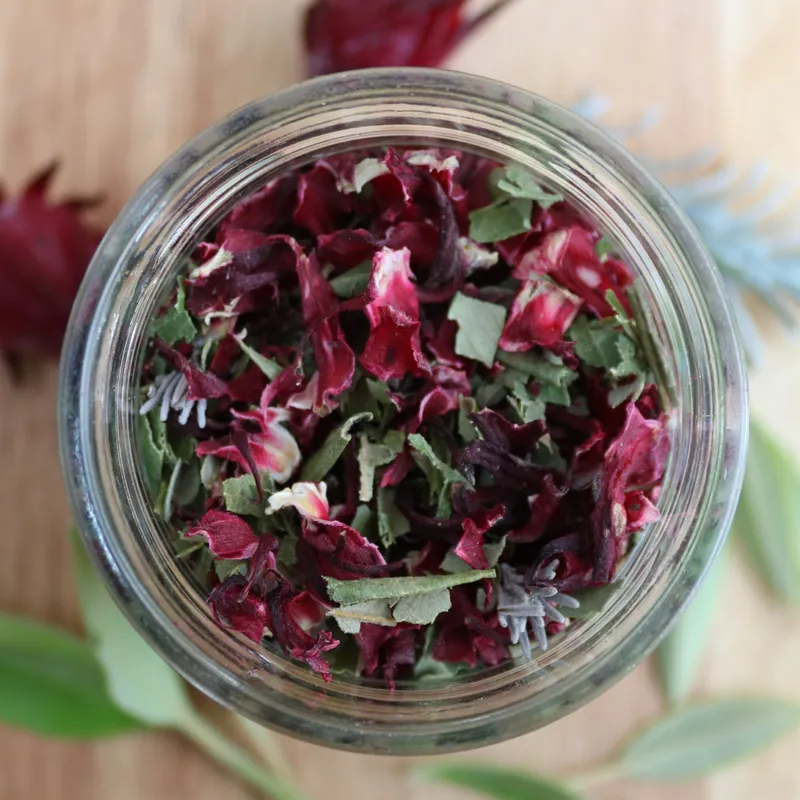 Australian Natives: Artisan Herbal Tea - alternate