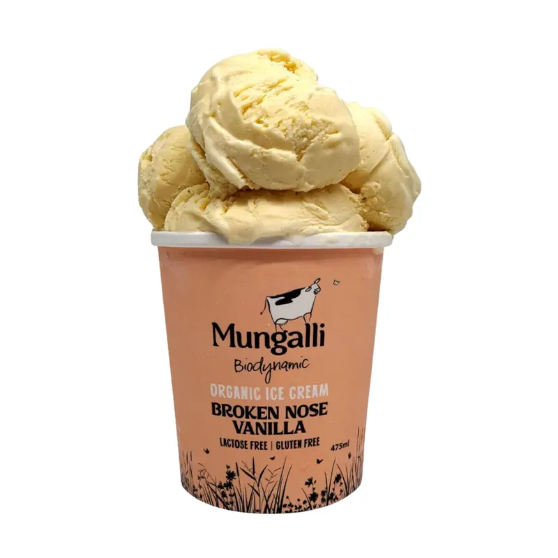 Broken Nose Vanilla Ice Cream