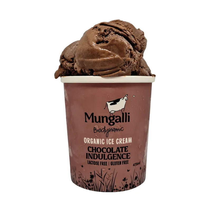 Chocolate Indulgence Ice Cream
