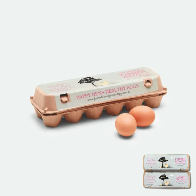 Eggs - Pasture Raised, 2 Doz 700g