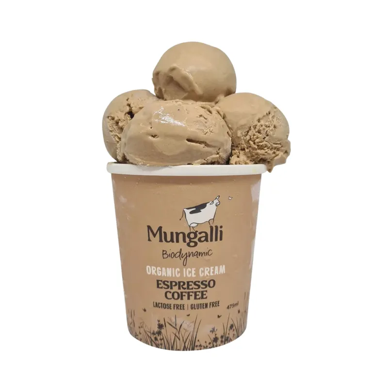 Organic Espresso Coffee Ice Cream