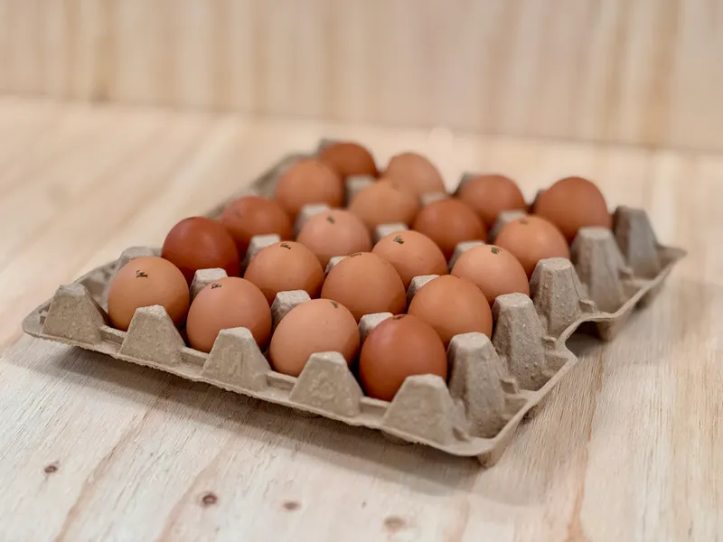 Egg Tray - Pasture Raised Super Jumbo, 20 Eggs