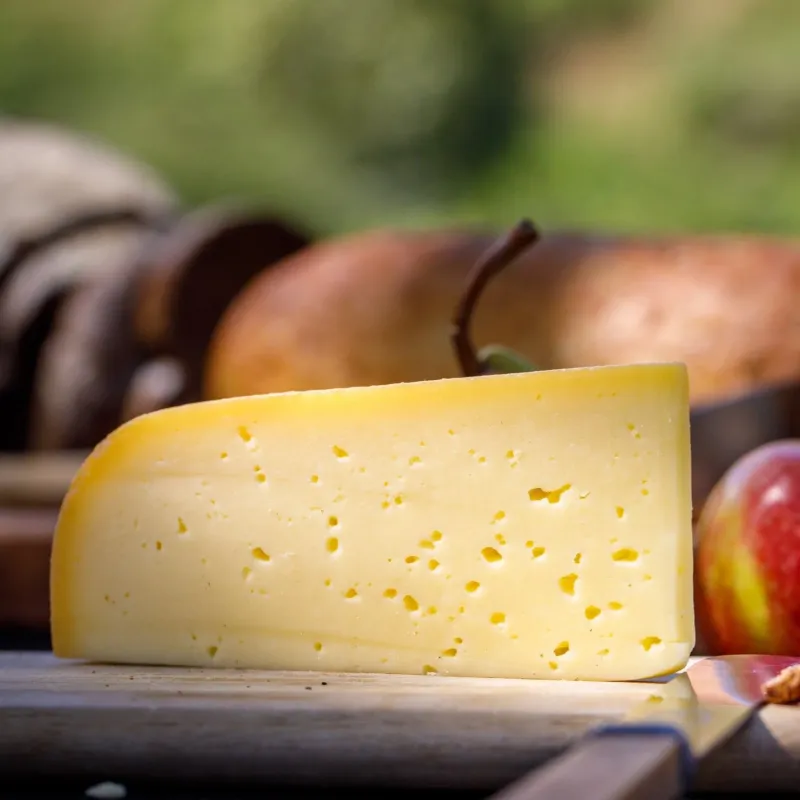 Monte Nardi - Hard Cow's Milk Cheese