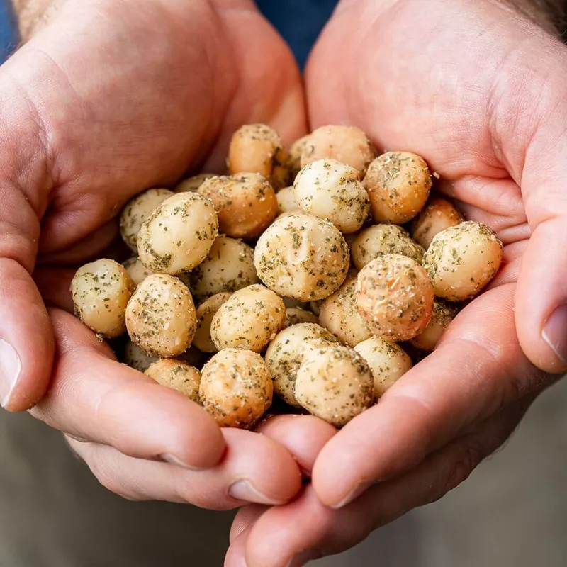Oven Roasted Macadamias with Saltbush - alternate