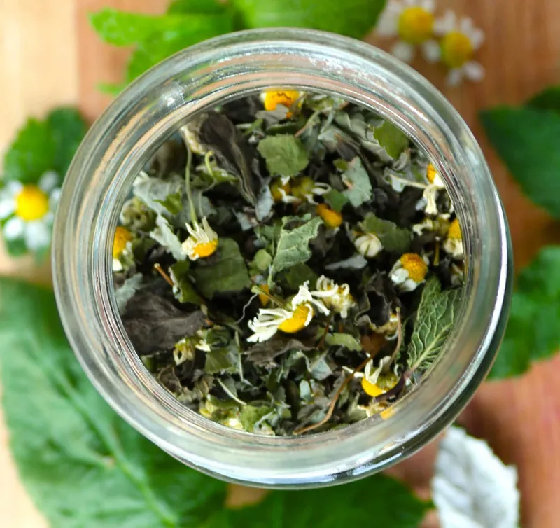 Moon Goddess : Artisan Herbal Tea - alternate